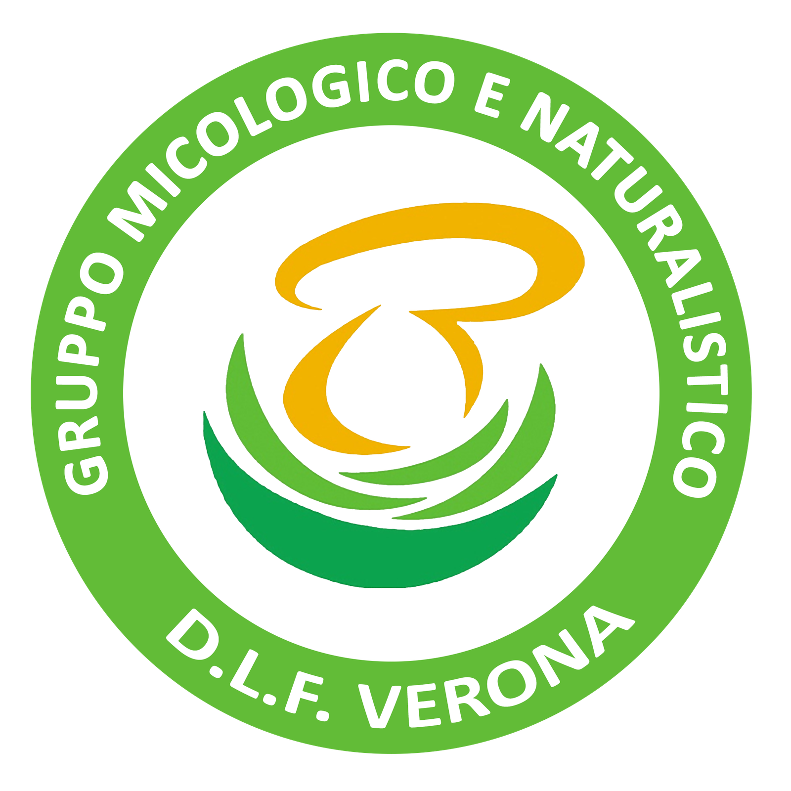 Logo DLF Verona