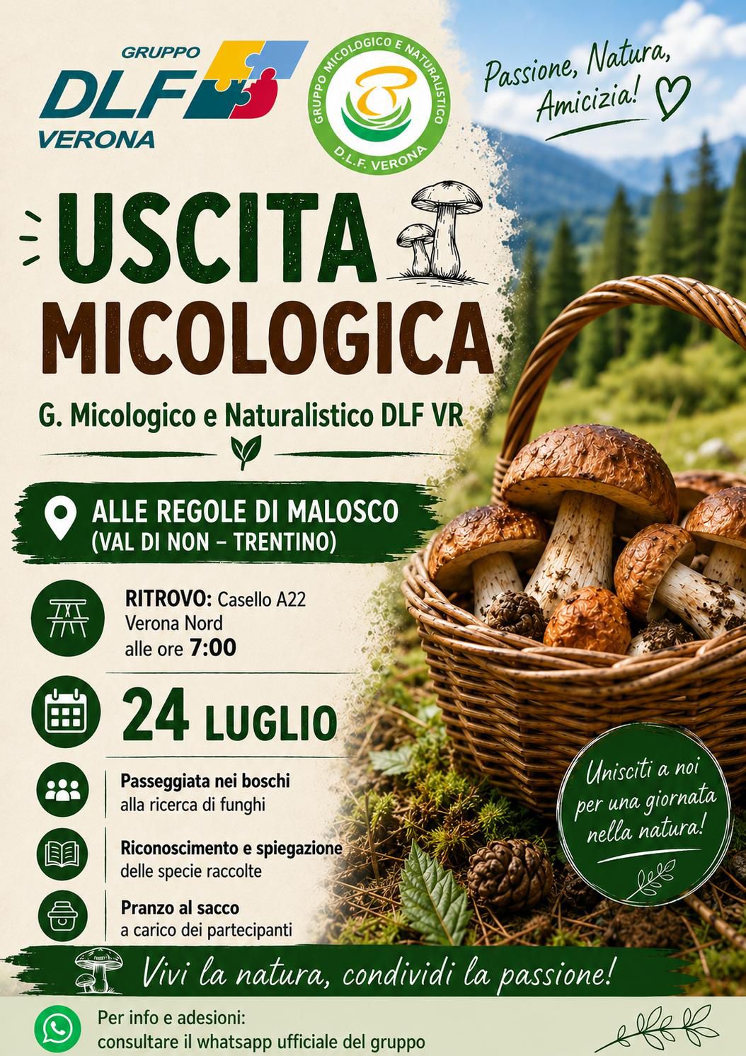 Uscita micologica in val di Non